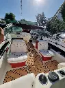 canestrari 160.webp