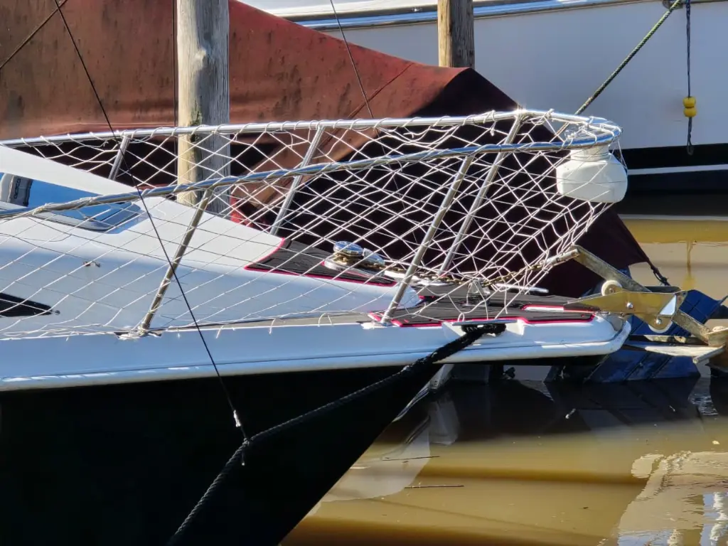 WhatsApp Image 2026-01-13 at 12.43.10.webp